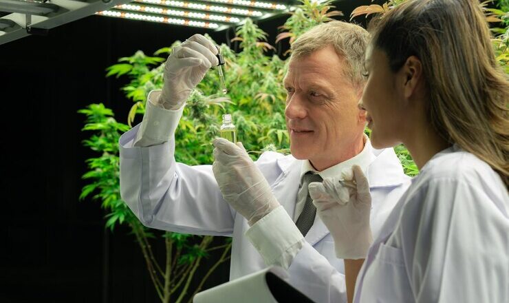 Putting Your Mind at Ease: How Cannabis Testing Labs Ensure Product Potency and Accuracy